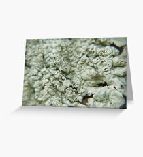 fungi (fun guy) Greeting Card