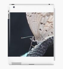Butterfly Macro iPad Case/Skin