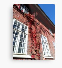 Old Facade Metal Print