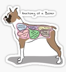 Anatomy of a Boxer Sticker