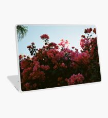 Make Out Laptop Skin