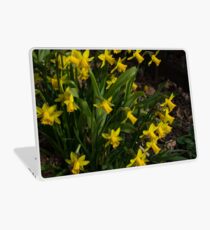 Daffodils Laptop Skin