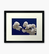 Blossoms In Blue Framed Print