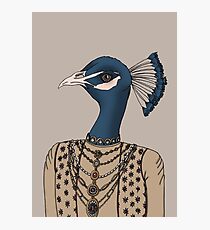 Indian Peacock Photographic Print