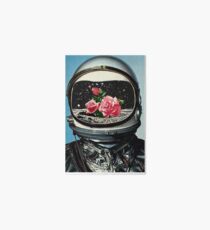 Spring Crop at the Rosseland Crater Art Board Print