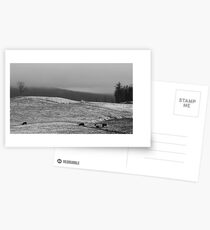 Fresh Fallen Snow in Maine Postcards