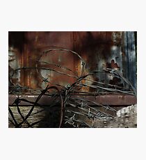 Barbed Wire Photographic Print