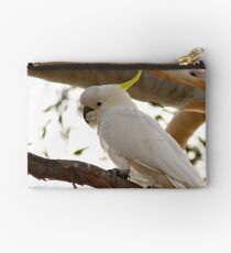 Beauty, the Sulphur Studio Pouch