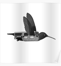 Hummer Bird Poster