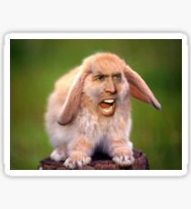 Nicolas Cage/Rabbit Sticker
