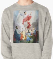 Hinkie starb für unsere Sünden Sweatshirt