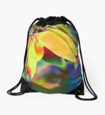 Funky is Fun II Drawstring Bag