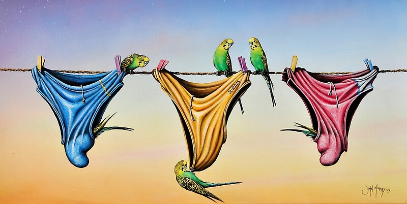 budgie-smugglers-by-john-murray-redbubble