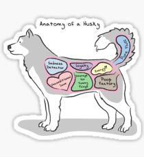 Anatomy of a Husky Sticker