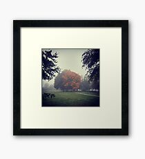 Paysage. Framed Print