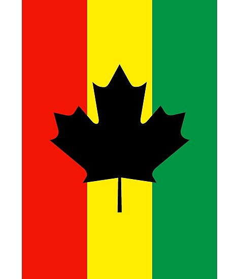 Image result for canadian rasta flag