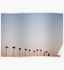 Sunset Palm Trees Poster