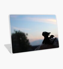 Tiny Toothless watching the sunset. Laptop Skin