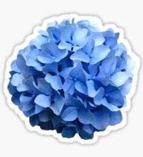 Hydrangea Sticker