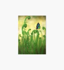 Schmetterling Art Board