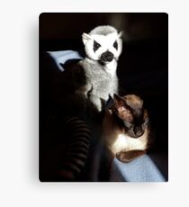 Tonkinese With Companion Leinwanddruck