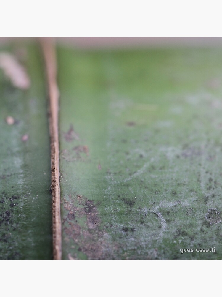 green power by yvesrossetti