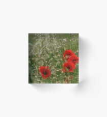 Poppies and grass in the wind Acrylic Block