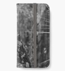 Steadfast Legend iPhone Wallet/Case/Skin