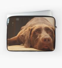 Chocolate Lab Laptop Sleeve