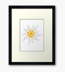 blume natur blümchen edelweiß berge alpen bayern oktoberfest spaß bier saufen symbol deutschland germany Gerahmtes Wandbild
