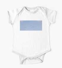 Pelicans One Piece - Short Sleeve