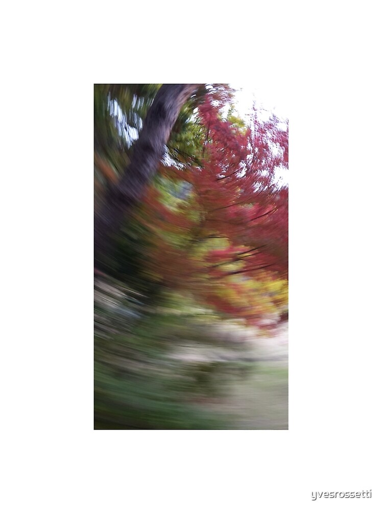 autumn swirl by yvesrossetti