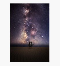Wind in the trees Photographic Print