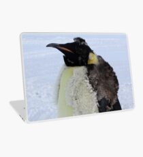 Molting Emperor Penguin Laptop Skin