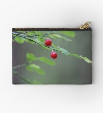 Ketchikan, AKc Studio Pouch