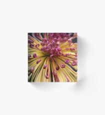 Starburst Acrylic Block
