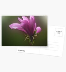 Perfect World Postcards