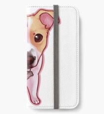 Ginger iPhone Wallet/Case/Skin