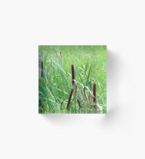 BULLRUSH Acrylic Block