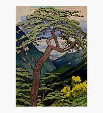 The Downward Climbing Photographic Print
