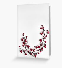 Red berries holly on white Greeting Card