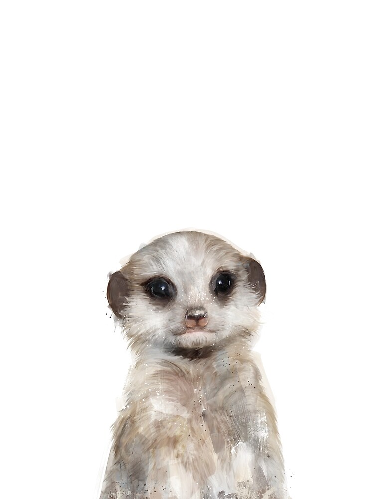 Little Meerkat by AmyHamilton