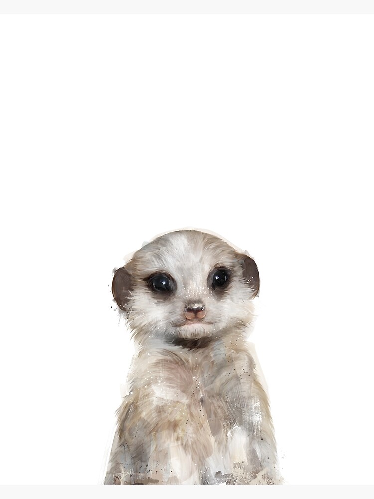 Little Meerkat by AmyHamilton