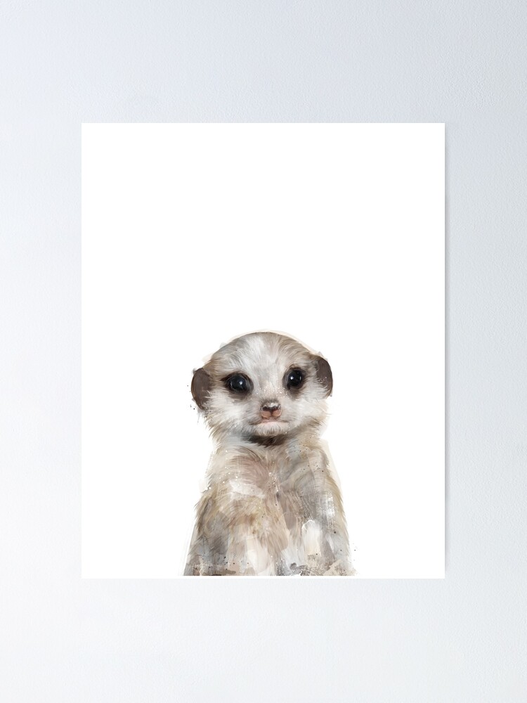 Alternate view of Little Meerkat Poster