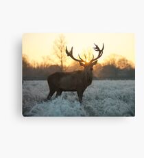 Christmas Stag 4 Canvas Print