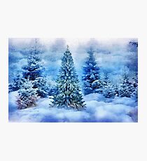 Christmas tree Photographic Print