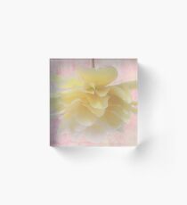 Pendula Acrylic Block