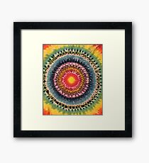 Bullseye Framed Print