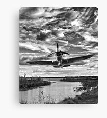 Low Altitude Flight Canvas Print
