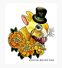 Top Hat Bunny Photographic Print